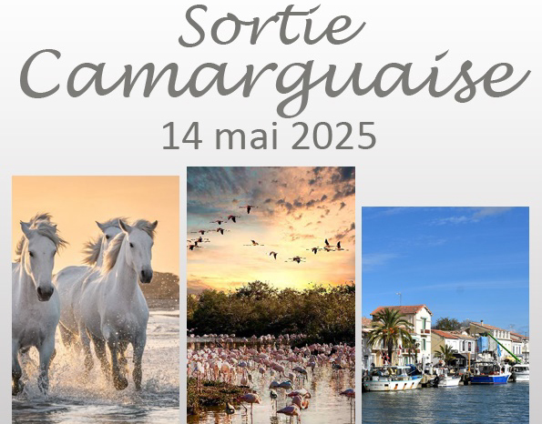 Affiche Camargue