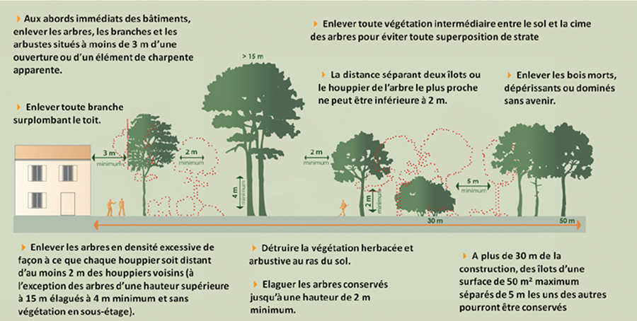 débroussaillement2