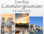 Affiche Camargue